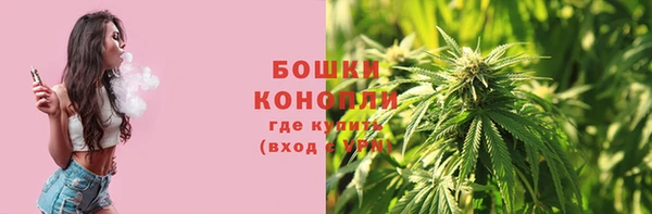 a pvp Белокуриха