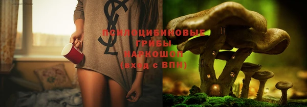 молекула духа Беломорск