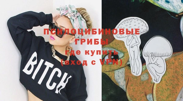 a pvp Белокуриха