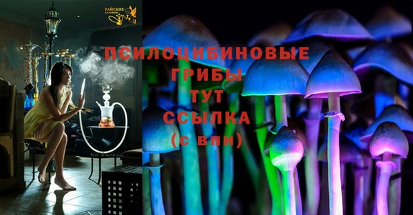 a pvp Белокуриха